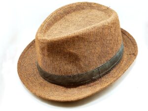 brown-panama-hat-isolated-with-white-background-panama-hat-fedora-cowboy-hat-accessory-american_t20_O0d1eL